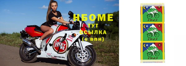 прущие грибы Волоколамск
