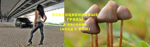 соль ск Бугульма