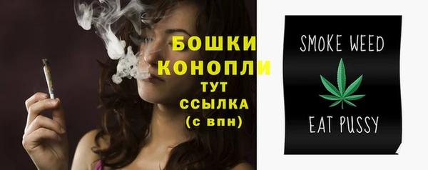 прущие грибы Волоколамск