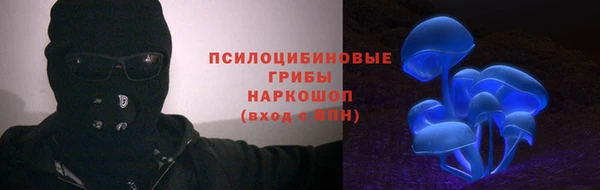 mdpv Янаул