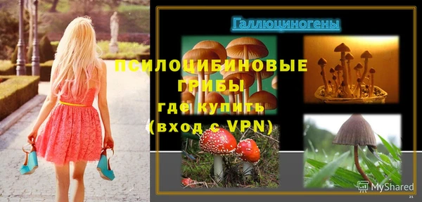 прущие грибы Волоколамск