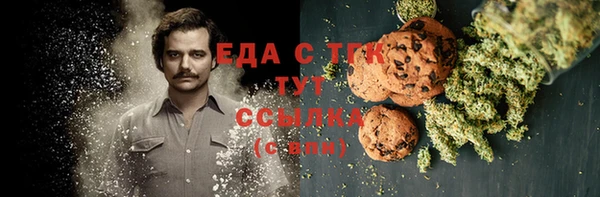 мдпв Бронницы