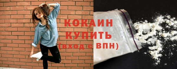 мдпв Бронницы